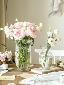 花瓶玻璃摆件客厅插花北欧玫瑰透明水养鲜花网红创意大口径简约