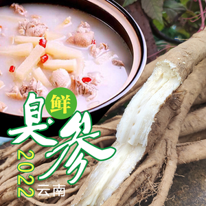 云南特产新鲜臭参红土参滋补云参地参人参臭药煲汤养生云南参蔬菜