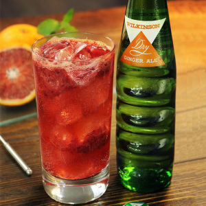 日本朝日wilkinson ginger ale 干dry姜汁汽水饮料190ml玻璃瓶