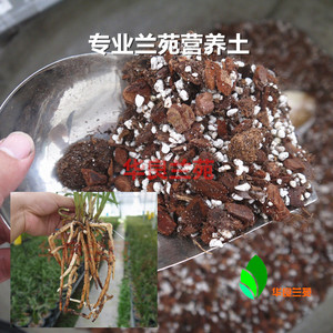 兰花土软植料兰苑专用兰科花卉石斛植物颗粒营养土栽培培养松树皮