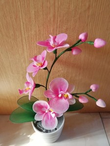 丝网花蝴蝶兰丝袜花材料包邮手工花材料包包教学 蝴蝶兰材料套件