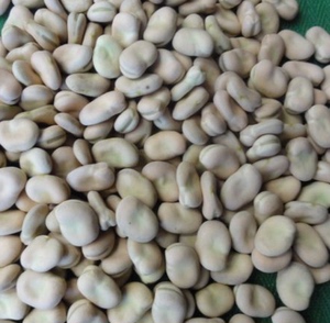 钟祥富硒老蚕豆生蚕豆农家干蚕豆胡豆1000克包邮买2发5斤