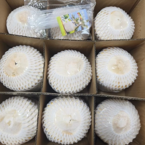 当季海南椰青鲜椰子九个装孕妇小孩水果香椰水去皮一整箱特产礼盒