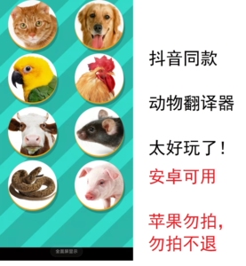 动物翻译器下载狗狗安卓通用语言狗话破解下载互动语音识别
