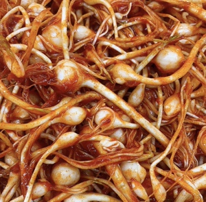 小根蒜延边特产泡菜下饭菜野蒜葱野生小头咸菜泡菜250g散装