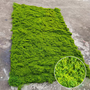 加厚仿真假苔藓曲丝青苔绿色植物橱窗造景装饰落地植绒草皮坪地毯