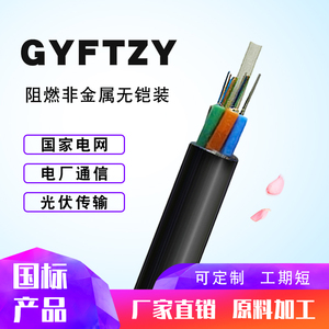 GYFTZY-24B1.3室外管道光纤4/8/12/16/48/96/144芯非金属阻燃光缆