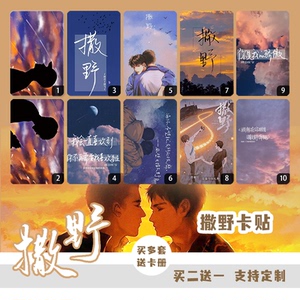 原耽撒野某某伪渣全球高考天官赐福二哈卡贴定制diy贴纸防水小卡