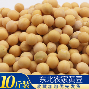 新黄豆东北大豆农家自种非转基因打豆浆专用豆腐生豆芽10斤