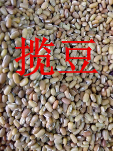 贵州毕节黔西特产榄豆 精米豆 竹豆 揽豆 爬山豆 饭豆 米豆500克