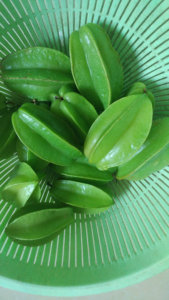 野生新鲜青果 酸杨桃 三稔果 五敛子 孕妇开胃水果 500g