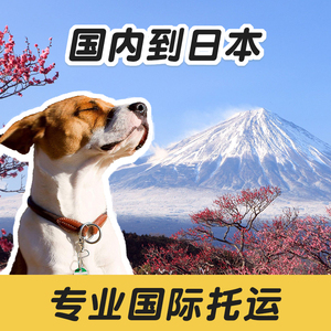 宠物国际托运服务（客舱） 狗猫咪至日本 日本回国 国外检疫证办