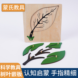 树叶嵌板蒙氏儿童早教益智立体大叶子拼图手工植物叶模型宝宝玩具