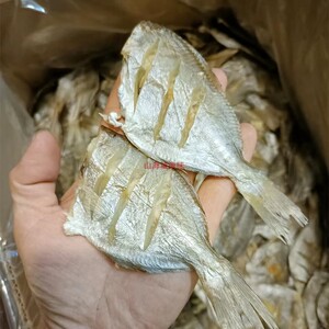 珠海特产 南仓鱼干 南鲳鱼干 淡晒风干 小鱼干 海鲜干货 渔民自晒