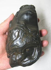 广西大湾石来宾水冲石黑珍珠书房案头文玩清供手玩石奇石精品