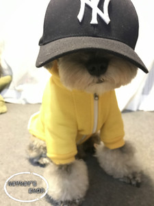 bh原单拉链加绒带帽宠物狗狗卫衣 雪纳瑞泰迪柯基法斗比熊