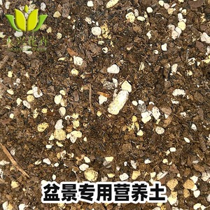 大兴花卉自配盆景土盆栽松树勒竹柏树枫树种植块根龙舌兰块状泥炭