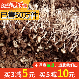 农家自产江西广昌茶树菇干货100g包邮特产新鲜茶薪菇不开伞3号菇