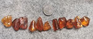 蜜蜡琥珀 虫珀 原石 各个有虫 尺寸见对比 2-6克 b15-25