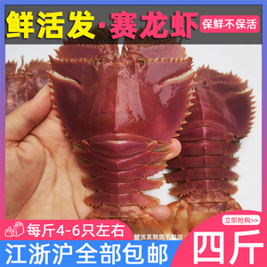 短足扇虾图片
