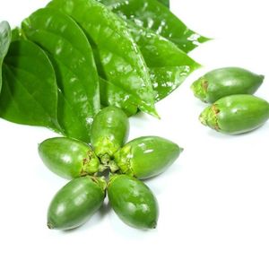 海南新鲜青生槟榔果 带配料 口味加工水果王