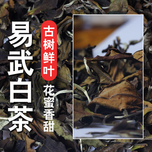 流丹茶叶 云南普洱茶易武古树白茶大叶种月光白媲美 福鼎白茶散装