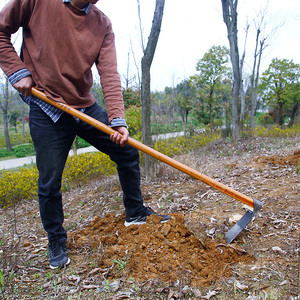 老式大锄头农具种菜家用挖土全钢两用除草开荒挖笋户外翻地䦆头