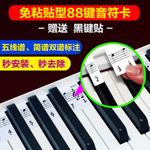 88键钢琴键盘条卡琴键卡电钢琴键盘条卡五线谱简谱 音符卡音标卡