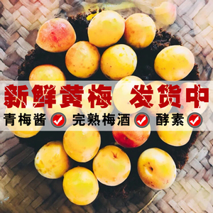 黄梅果新鲜散装 梅小鲜诏安完熟青梅果现摘生梅子酸梅泡酒鲜果5斤