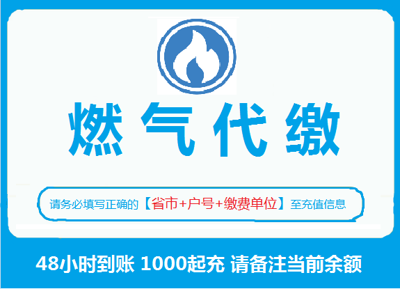 代缴全国天燃气1000元起天燃气河南湖南安徽浙江北京上海交费充值