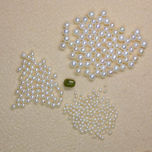 1粒  无孔半孔极小天然淡水珍珠裸珠颗粒 近圆无瑕白色微镶设计用