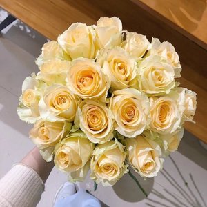 香槟玫瑰 18支 送两支 实发20支 黄色系黄玫瑰 限量空运包邮到家