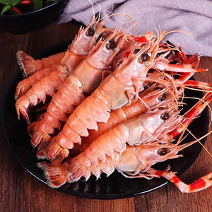 青岛广裕海 包邮东海野生海鳌虾5斤装深海小龙虾铁甲虾海捕鳌虾