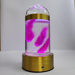 新款LED智能语音小夜灯充电台灯学生台灯情侣生日礼物标本台灯