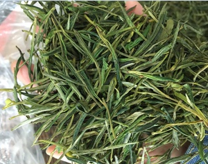 溪口高山茶