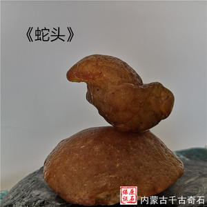 蛇头 精品天然奇石黑龙江嫩江玛瑙观赏石摆件 象形原石动物生肖