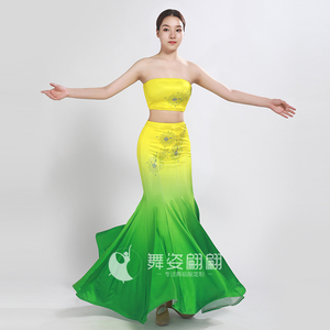 畅想桃李杯傣族舞蹈服民族舞蹈演出服艺考鱼尾裙摆傣族服装定做