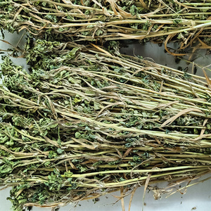 陕南安康特产香草苜蓿草炖肉煲汤做馍花卷凉皮凉菜调料