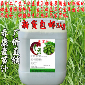 清明传统青团青饼绿色着色上海乔康浆小麦草香味青麦苗汁5kg包邮