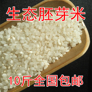 胚芽米23年新东北盘锦蟹田生态大米5kg10斤粗粮杂粮非糙米玄米