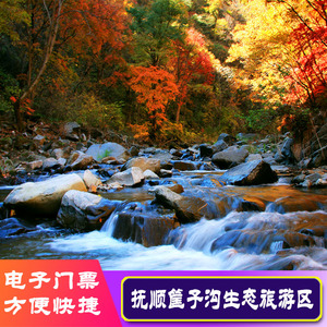 [筐子沟-大门票]抚顺清原筐子沟生态旅游景区门票