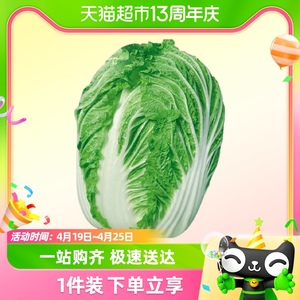 寿禾金黄白白菜（华良）蔬菜种子10g/袋孑菜种菜籽青菜黄心大白菜