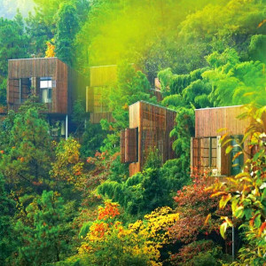 岕山野温泉度假村树屋1晚 早餐 云顶温泉票 神马农场门票t0人付款