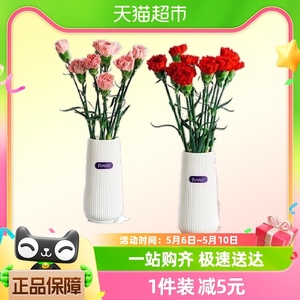 云南直发红粉色系康乃馨10支50cm+白色竖纹树脂花瓶