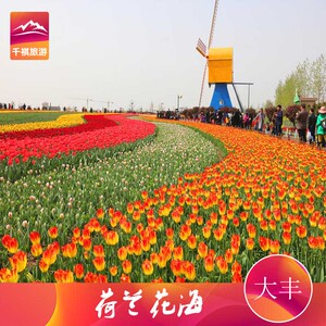 荷兰花海门票