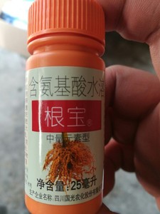 国光根宝