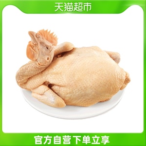 温氏矮脚黄鸡800g