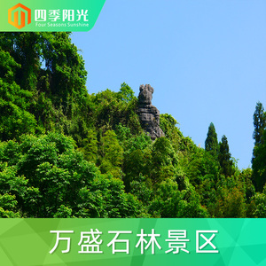 [万盛石林-大门票]重庆 万盛石林 (不含天门洞)