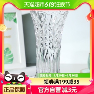 新新精艺插花富贵竹花瓶花器客厅办公室摆件透明玻璃花瓶
