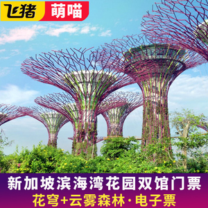 [滨海湾花园-花穹 + 云雾森林（限非新加坡人）]新加坡滨海湾花园双馆门票电子票
